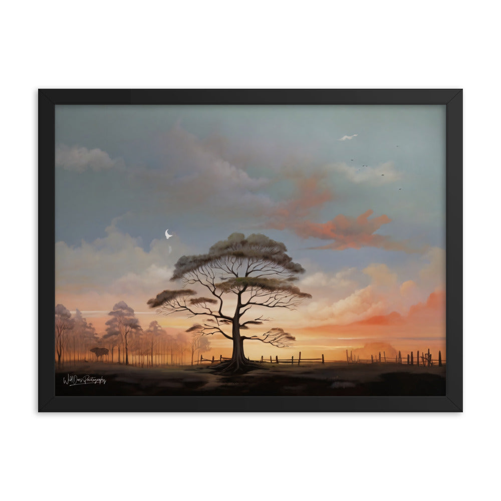 Solo Canopy Sunset - Framed Paintography