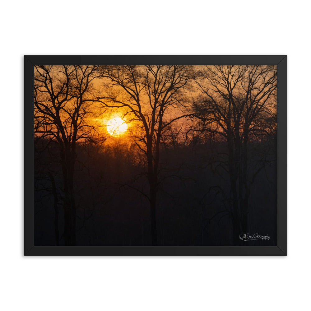 Setting Sun - Framed Paintography