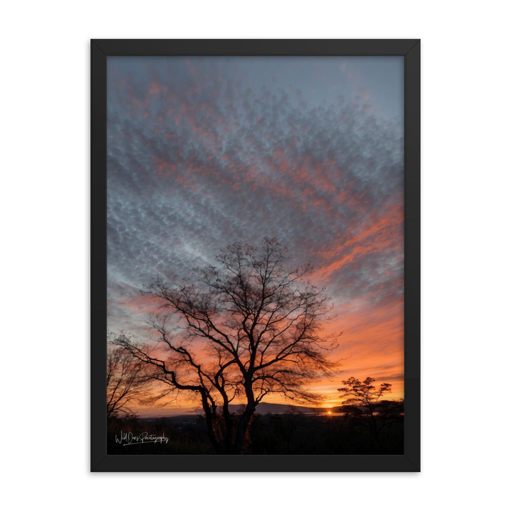 Scenic Sunset - Framed Paintography