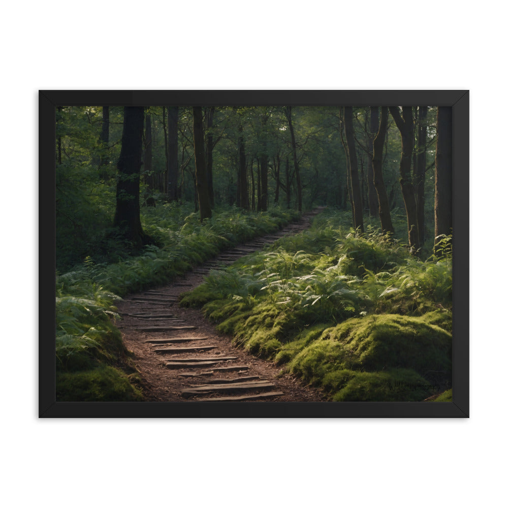Nature's Forgotten Way - Framed Paintography