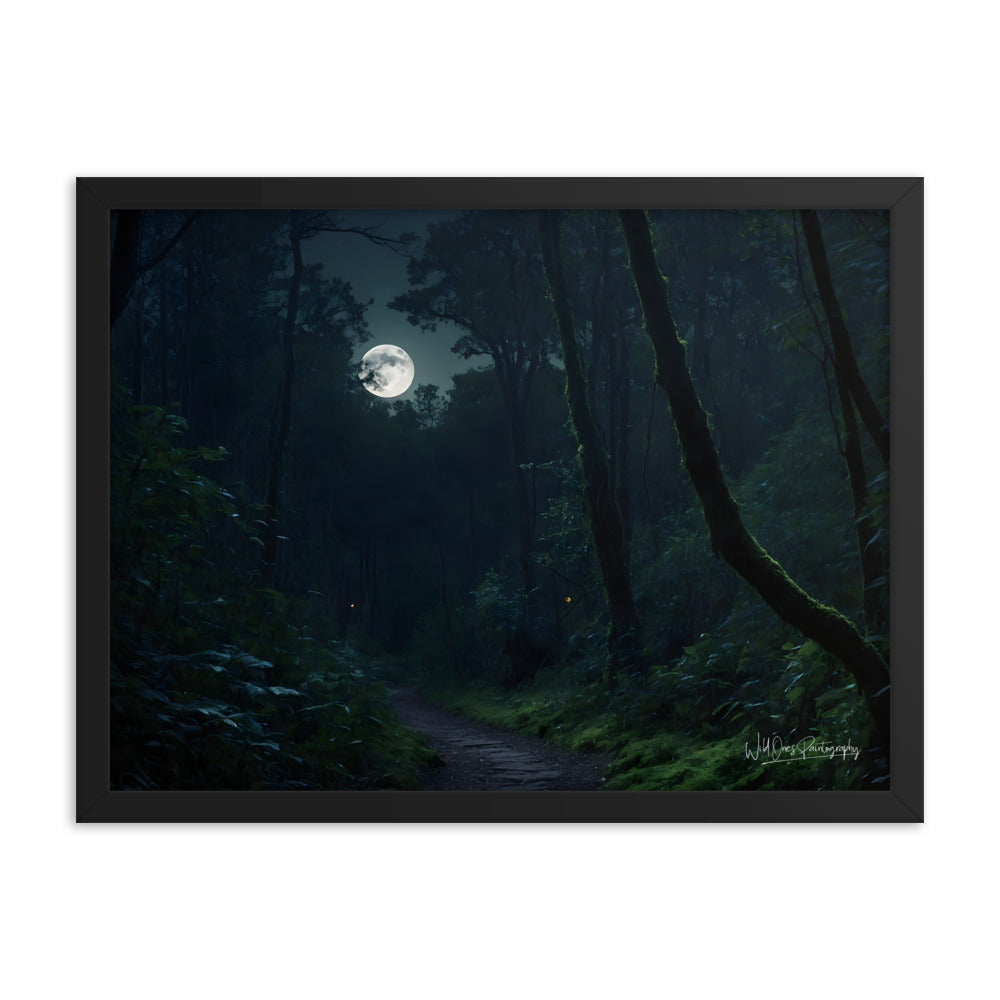 Moonlit Pathway - Framed Paintography