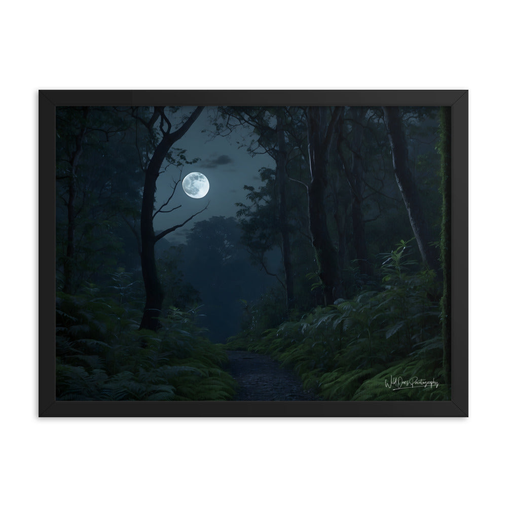 Moonlit Way - Framed Paintography