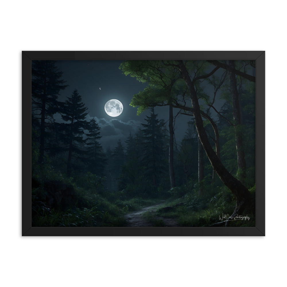 Moonlit Path - Framed Paintography