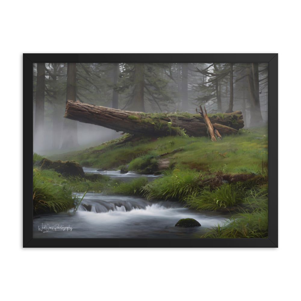 Enchanted Woodland Flow - Framed Paintography