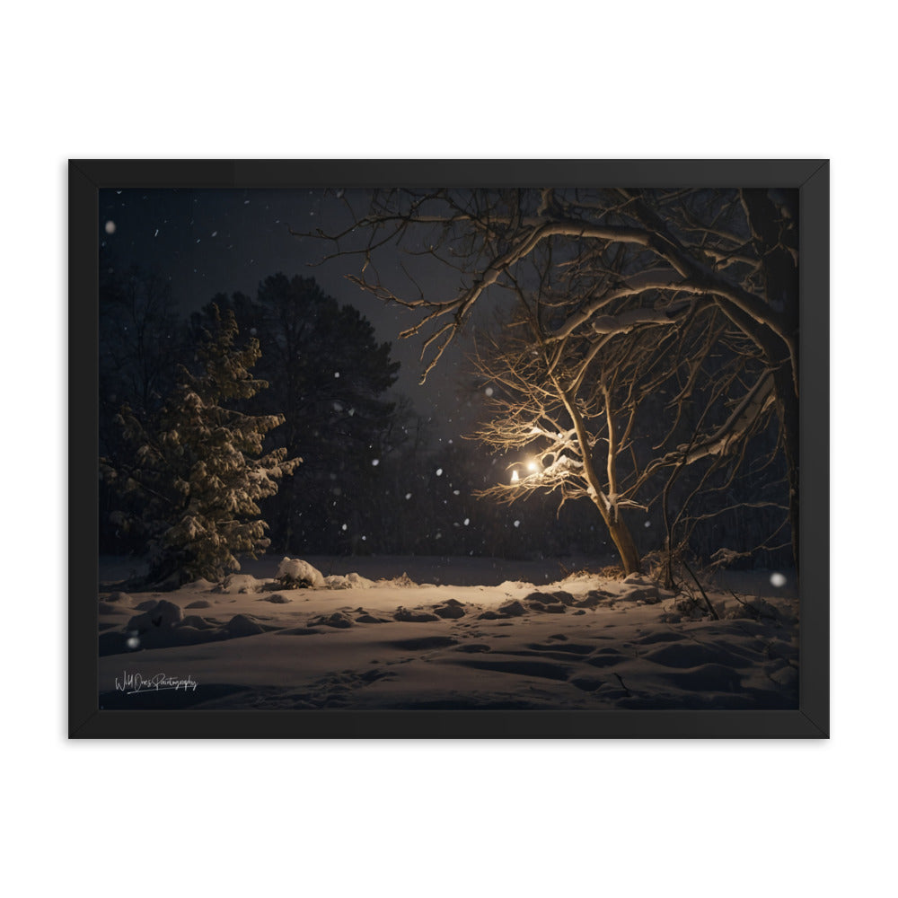 Midnight Snow - Framed Paintography