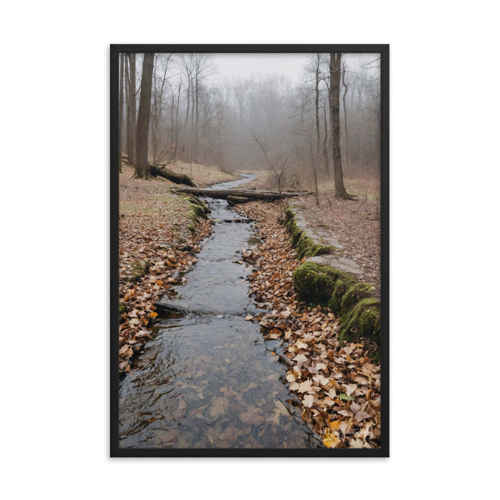 Woodland Stream - Framed Paintography