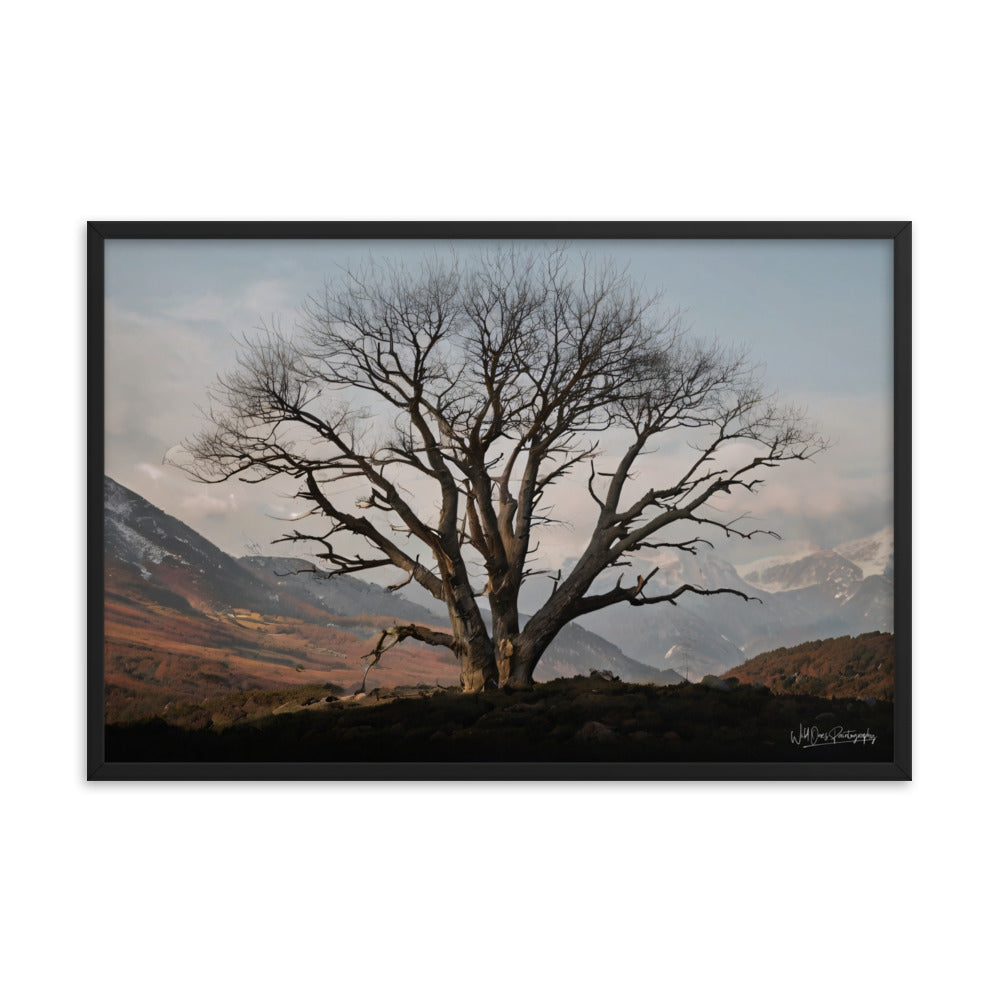 Withstand Time - Framed Paintography