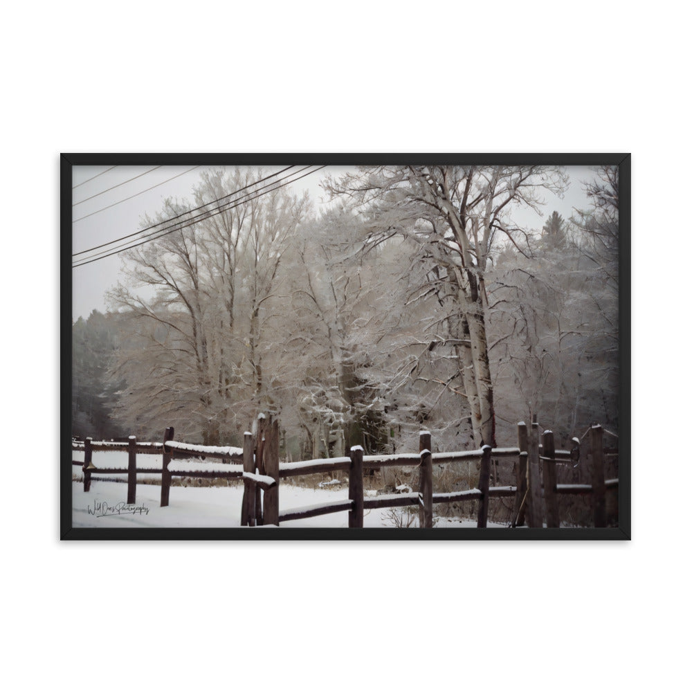 Winter Wonder - Framed Paintography