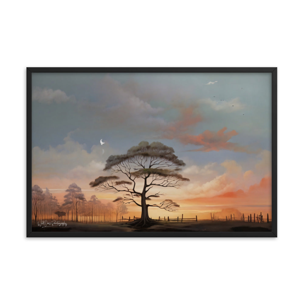 Solo Canopy Sunset - Framed Paintography