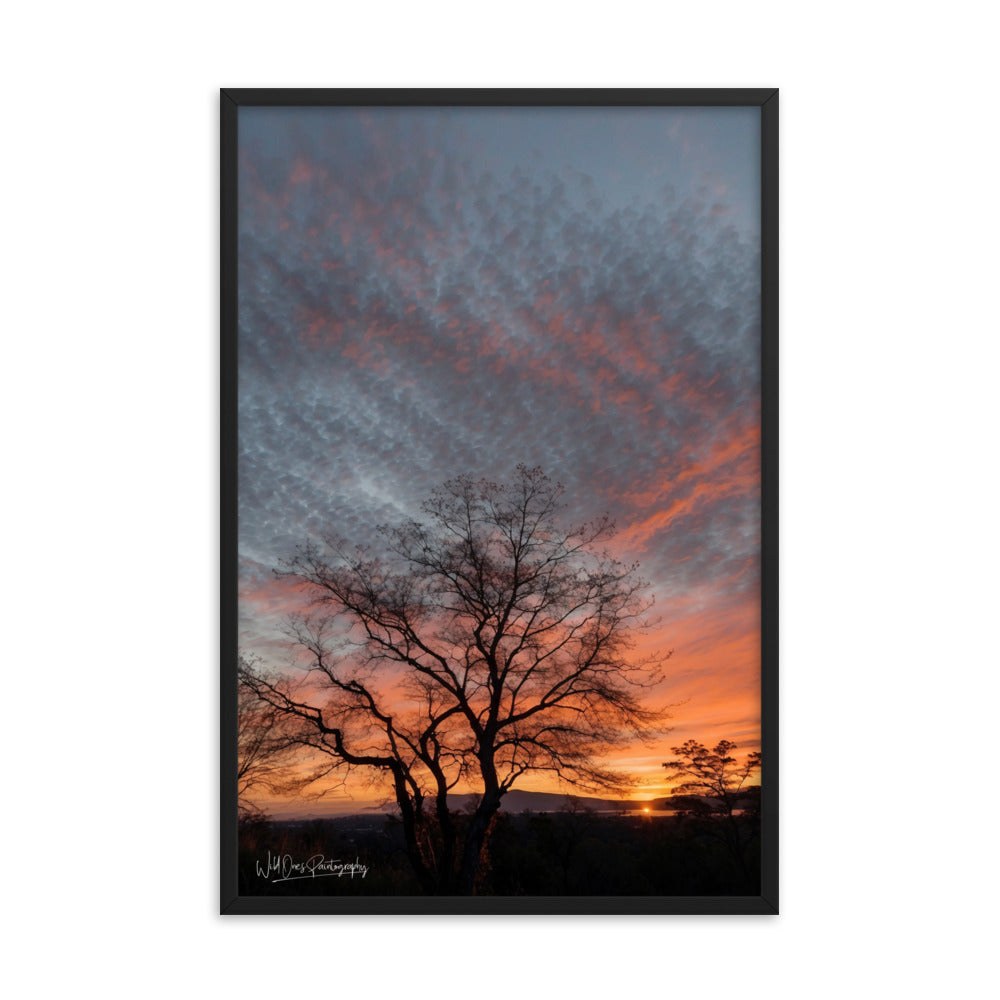 Scenic Sunset - Framed Paintography
