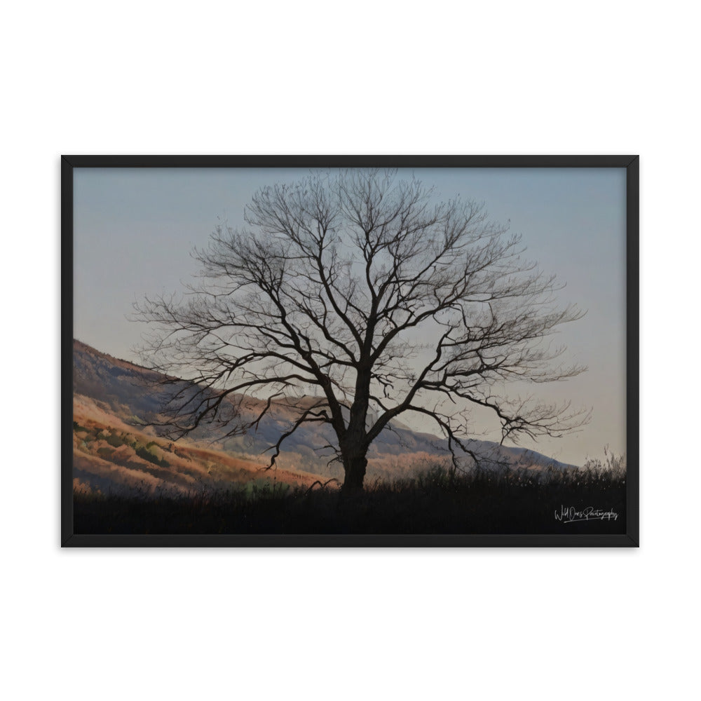 Old Tree - Framed Paintography