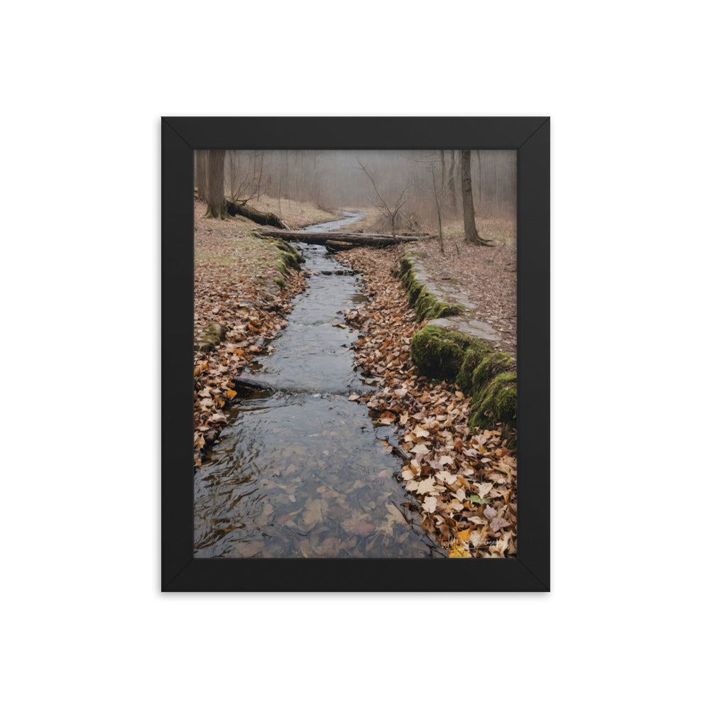 Woodland Stream - Framed Paintography