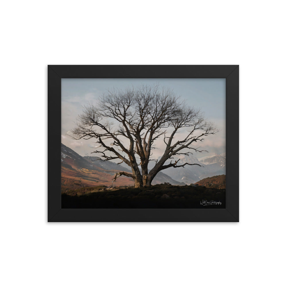 Withstand Time - Framed Paintography