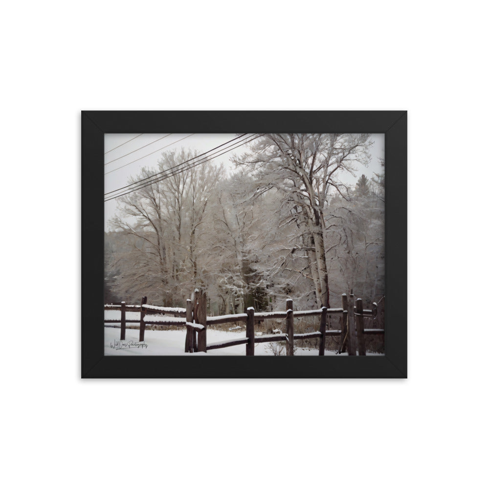 Winter Wonder - Framed Paintography