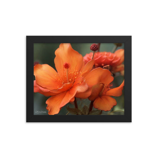 Tiger Lily - Framed Paintography