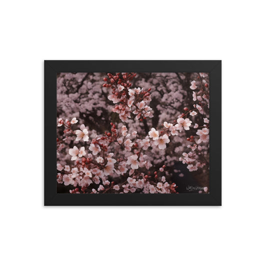 Spring Blossom - Framed Paintography