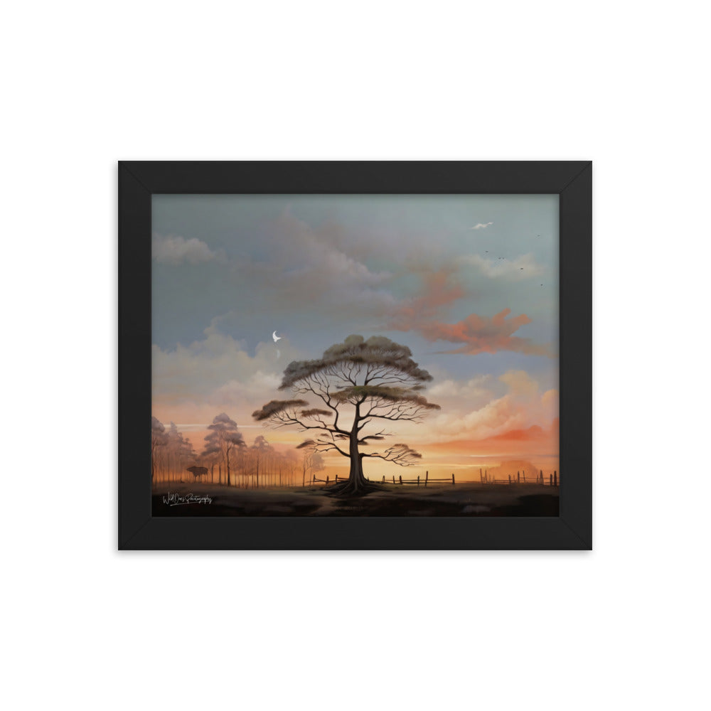 Solo Canopy Sunset - Framed Paintography
