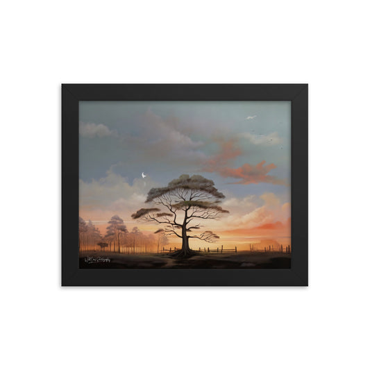 Solo Canopy Sunset - Framed Paintography