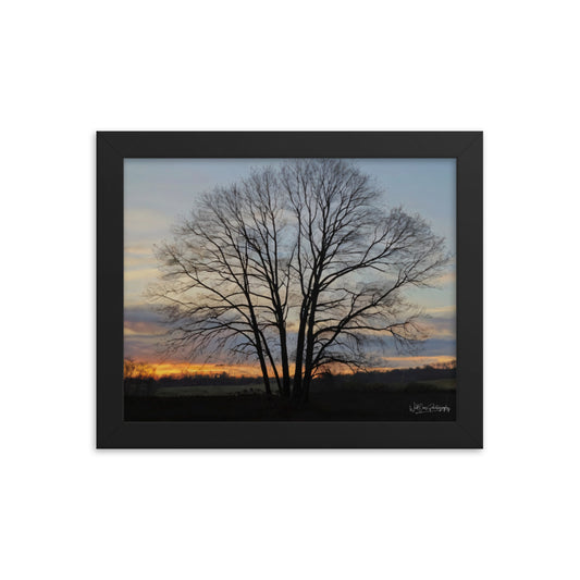 Setting Sun Tree - Framed Paintography