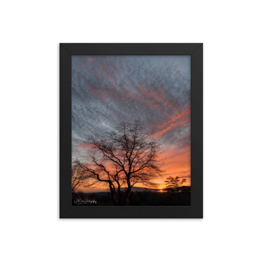 Scenic Sunset - Framed Paintography