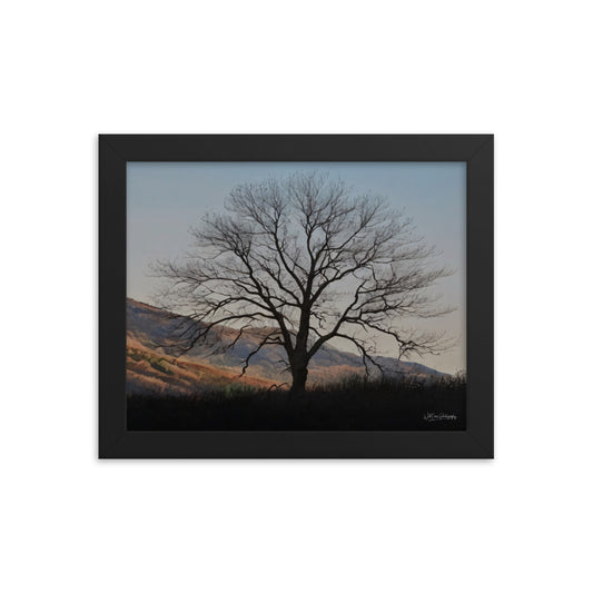 Old Tree - Framed Paintography