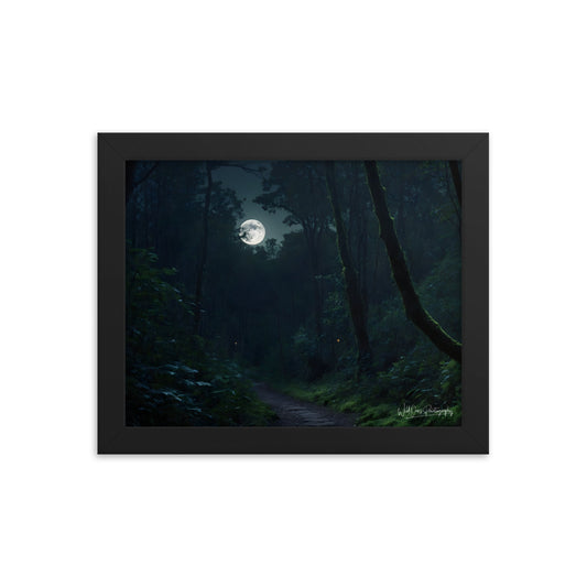 Moonlit Pathway - Framed Paintography