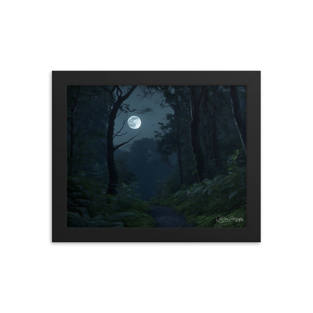 Moonlit Way - Framed Paintography