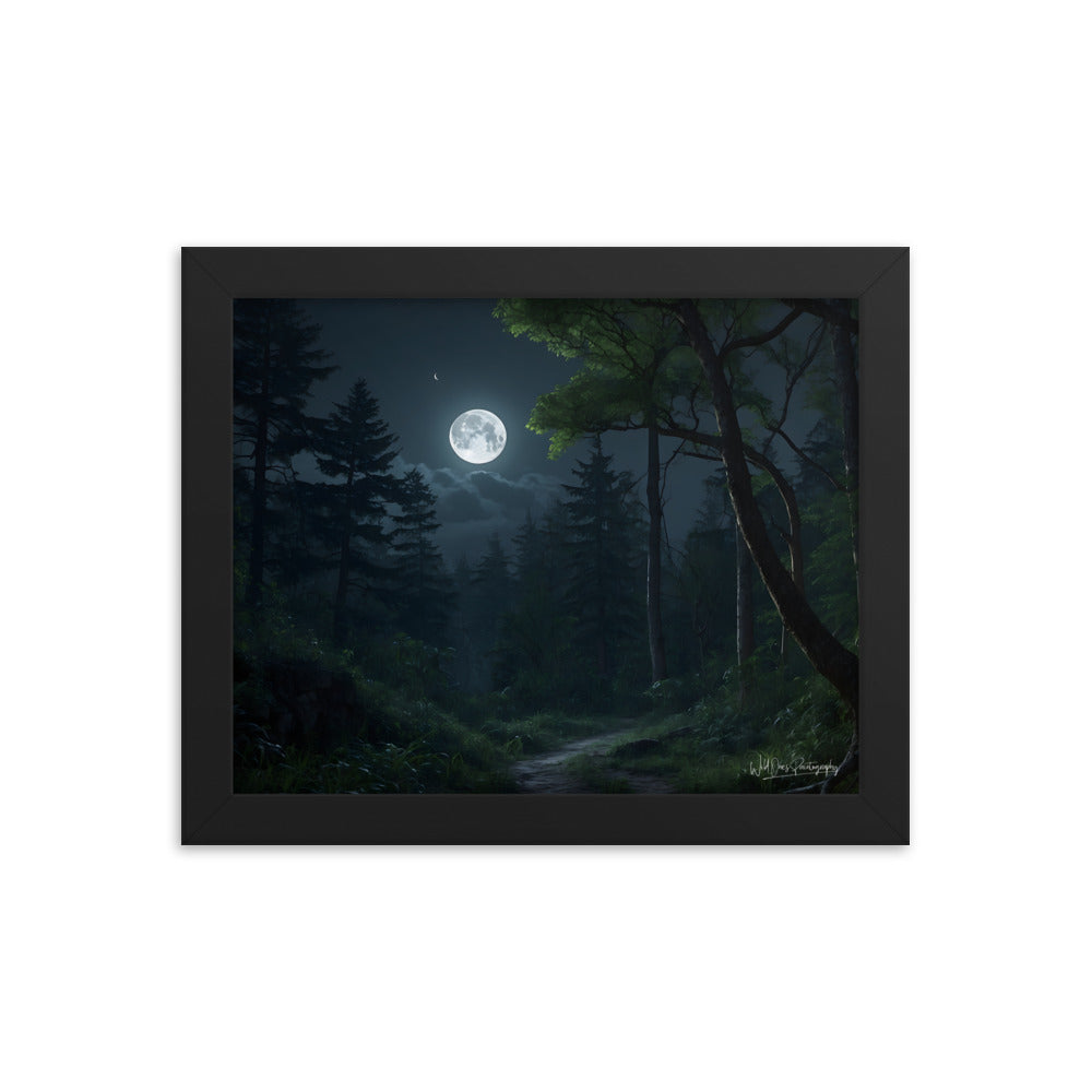 Moonlit Path - Framed Paintography