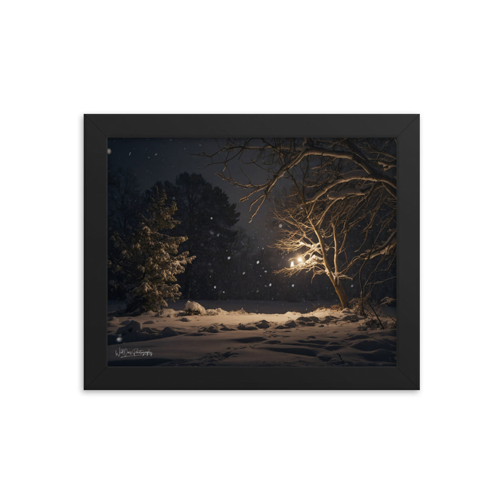 Midnight Snow - Framed Paintography