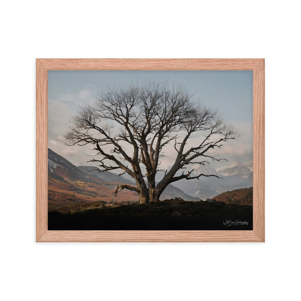Withstand Time - Framed Paintography