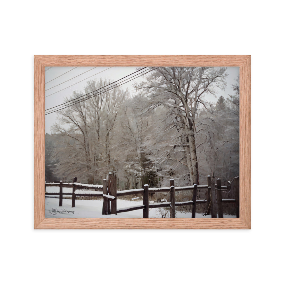 Winter Wonder - Framed Paintography