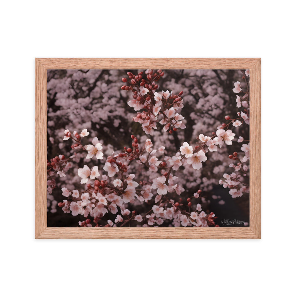 Spring Blossom - Framed Paintography