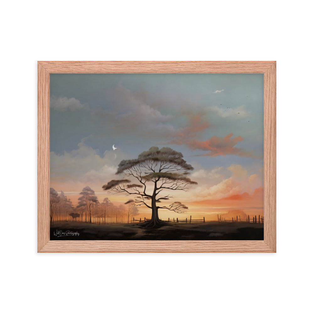 Solo Canopy Sunset - Framed Paintography