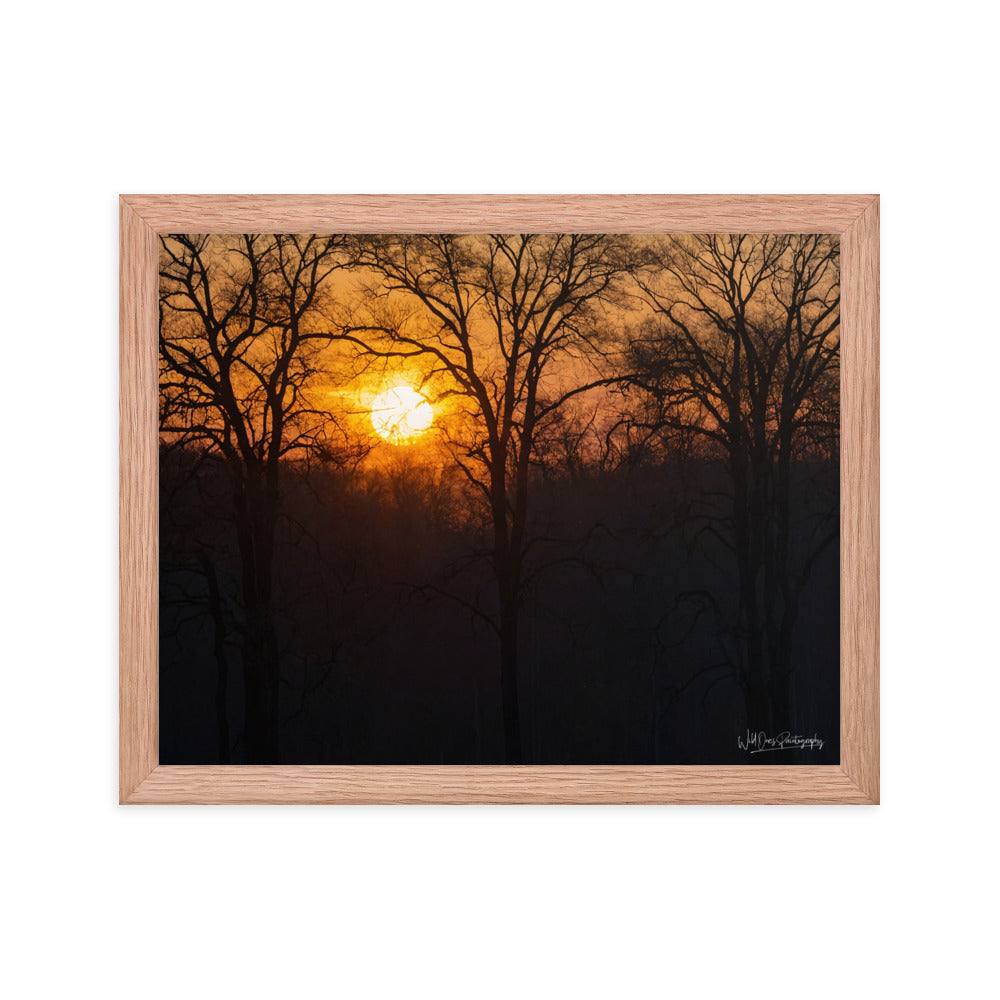 Setting Sun - Framed Paintography