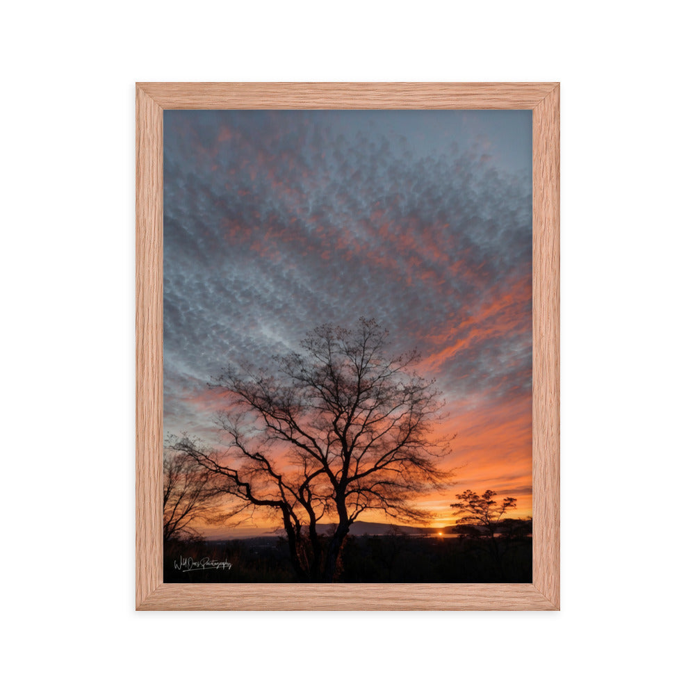 Scenic Sunset - Framed Paintography