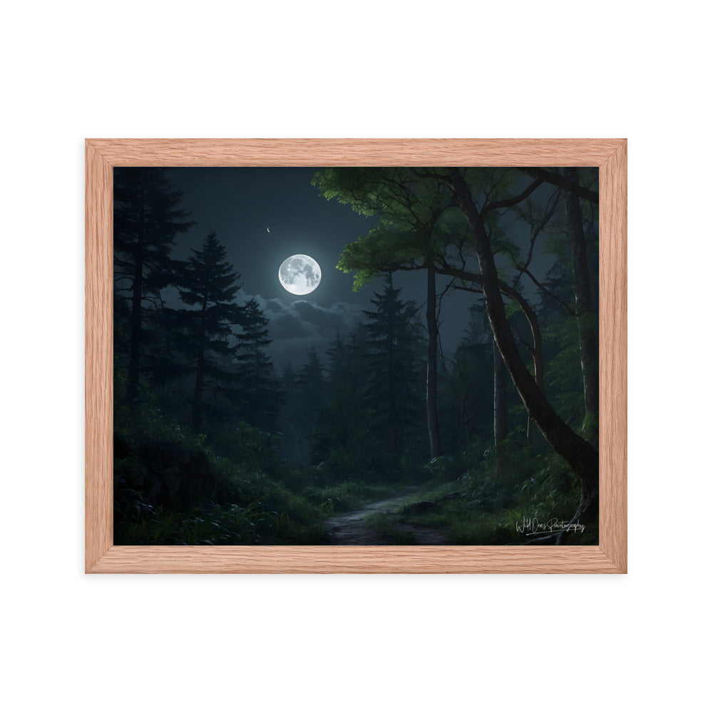 Moonlit Path - Framed Paintography