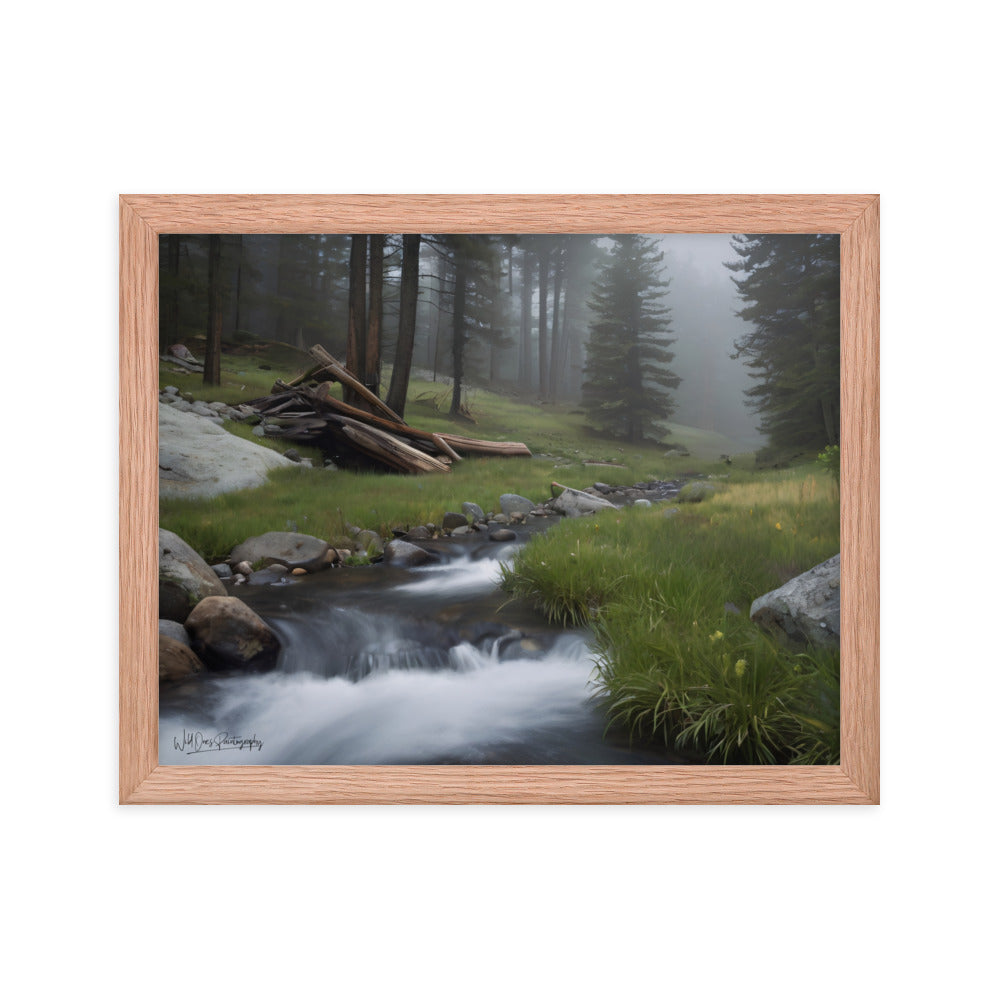 Misty Woodland Stream - Framed Paintography