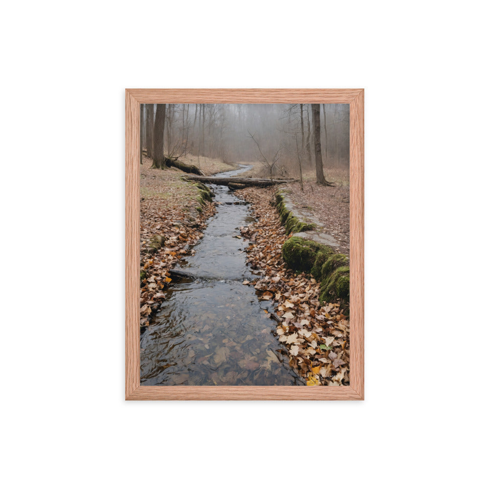 Woodland Stream - Framed Paintography