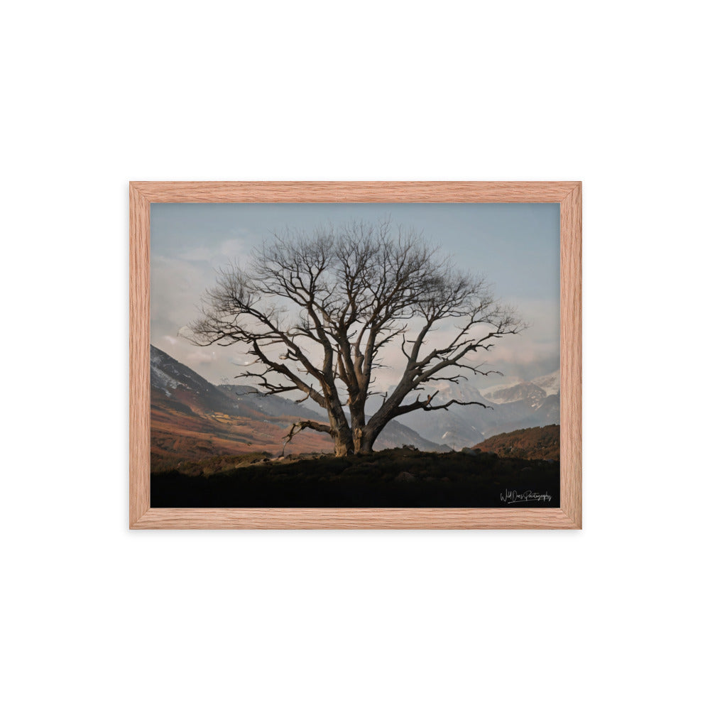 Withstand Time - Framed Paintography