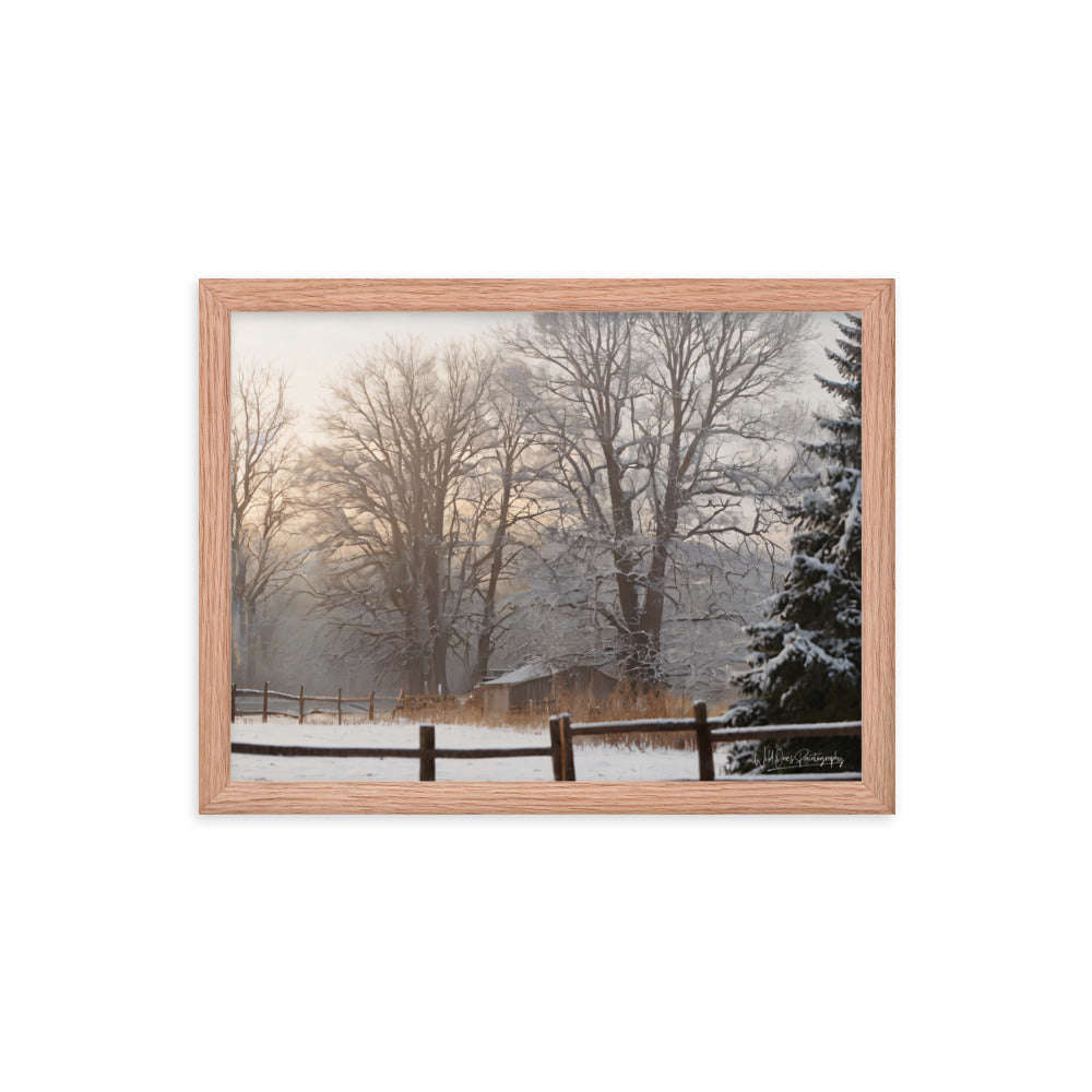 Winter Wonder Shed - Framed Paintography