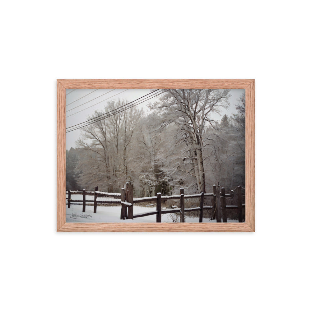 Winter Wonder - Framed Paintography