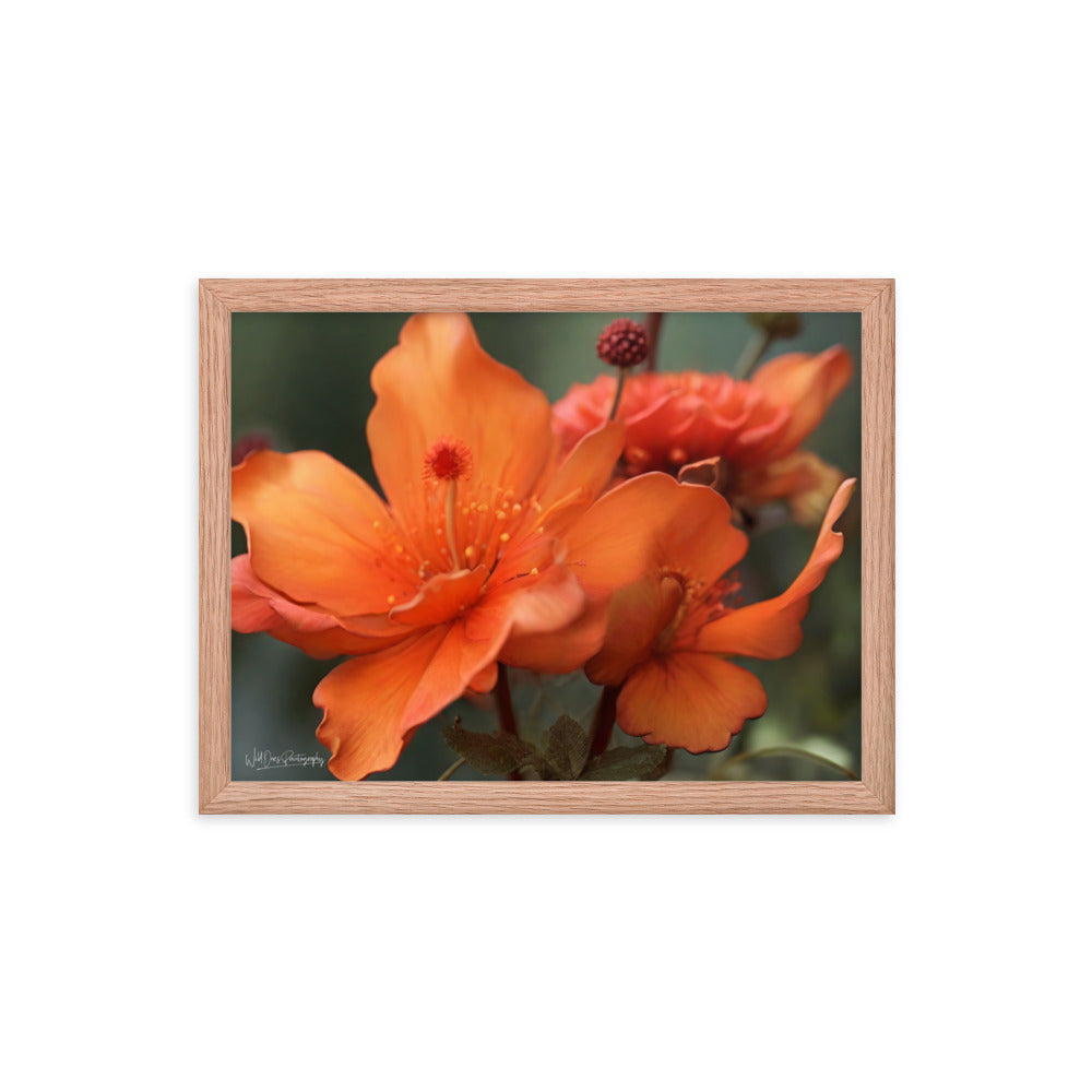 Tiger Lily - Framed Paintography