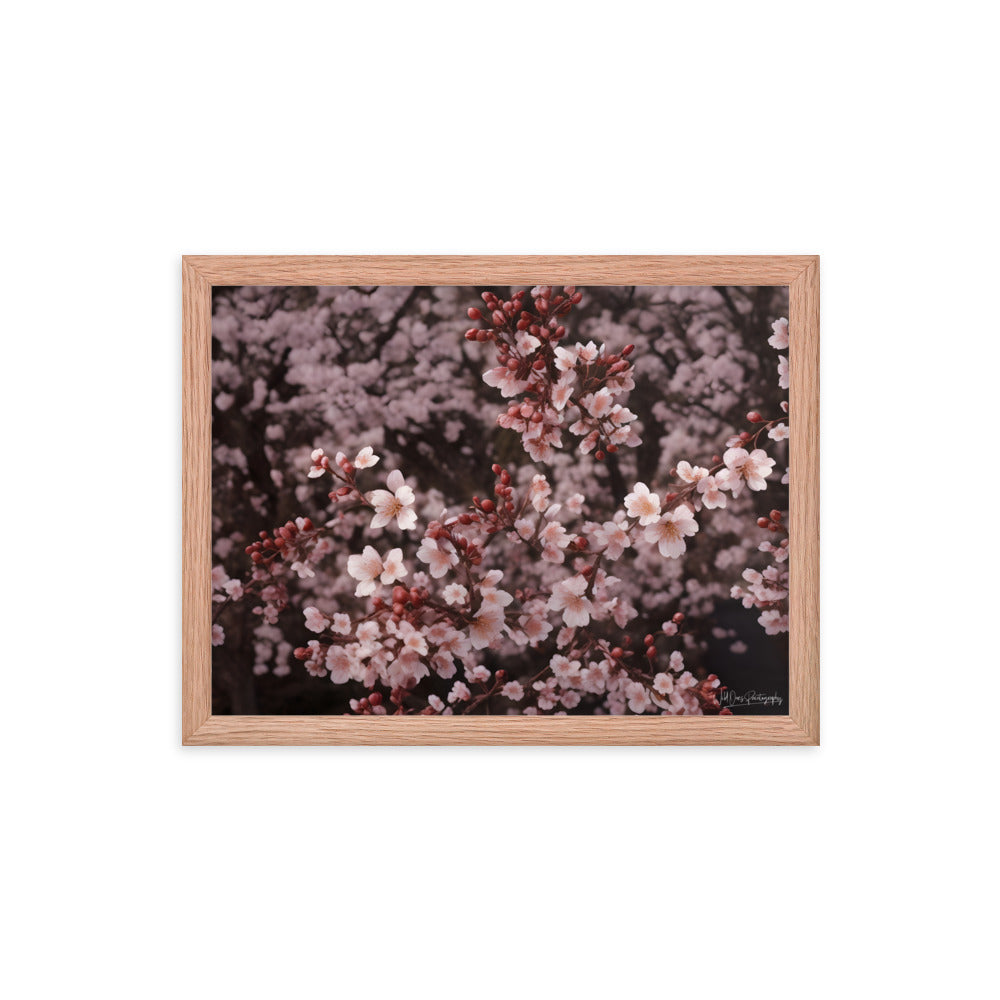 Spring Blossom - Framed Paintography