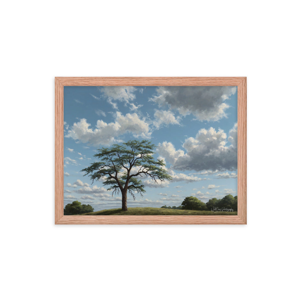 Spring Breeze - Framed Paintography