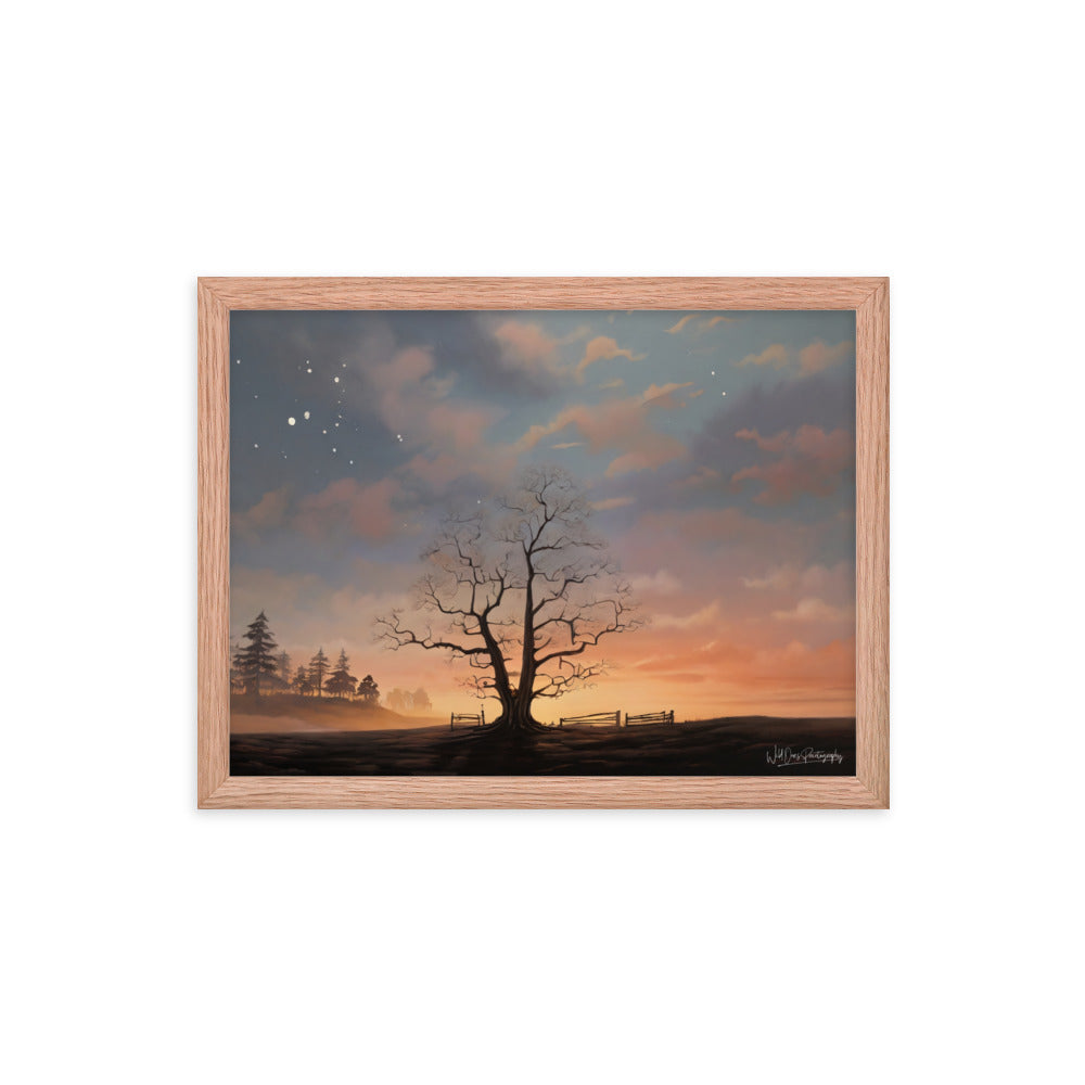 Split Tree Sunset - Framed Paintography