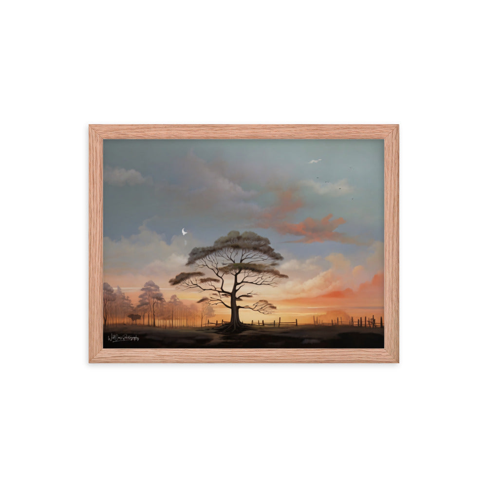 Solo Canopy Sunset - Framed Paintography