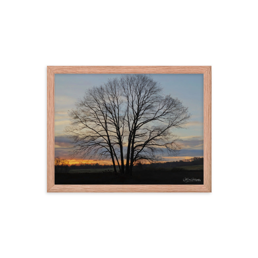 Setting Sun Tree - Framed Paintography