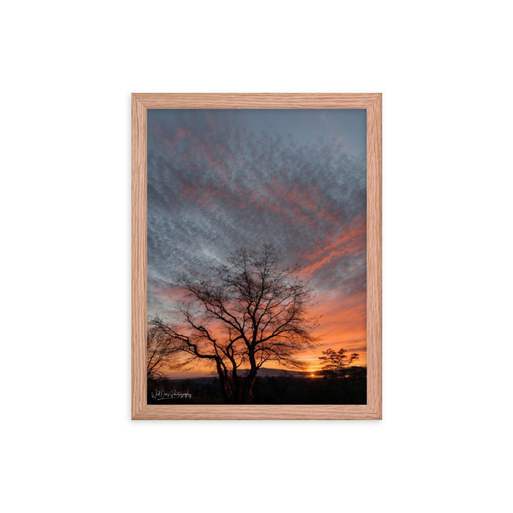 Scenic Sunset - Framed Paintography