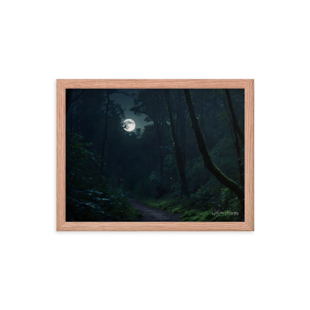 Moonlit Pathway - Framed Paintography