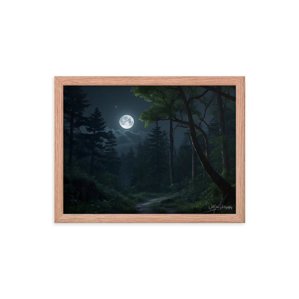 Moonlit Path - Framed Paintography